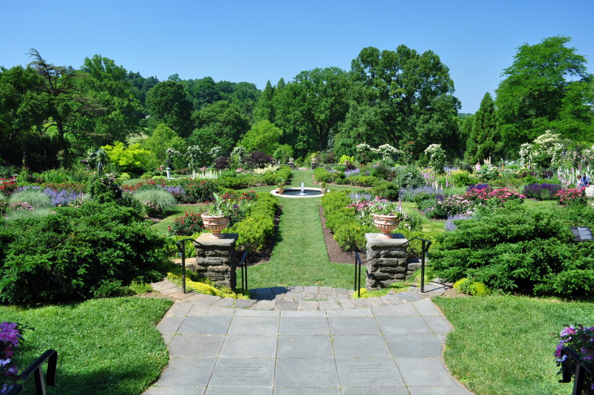 Morris Arboretum Gardens