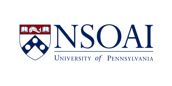 NSOAI logo