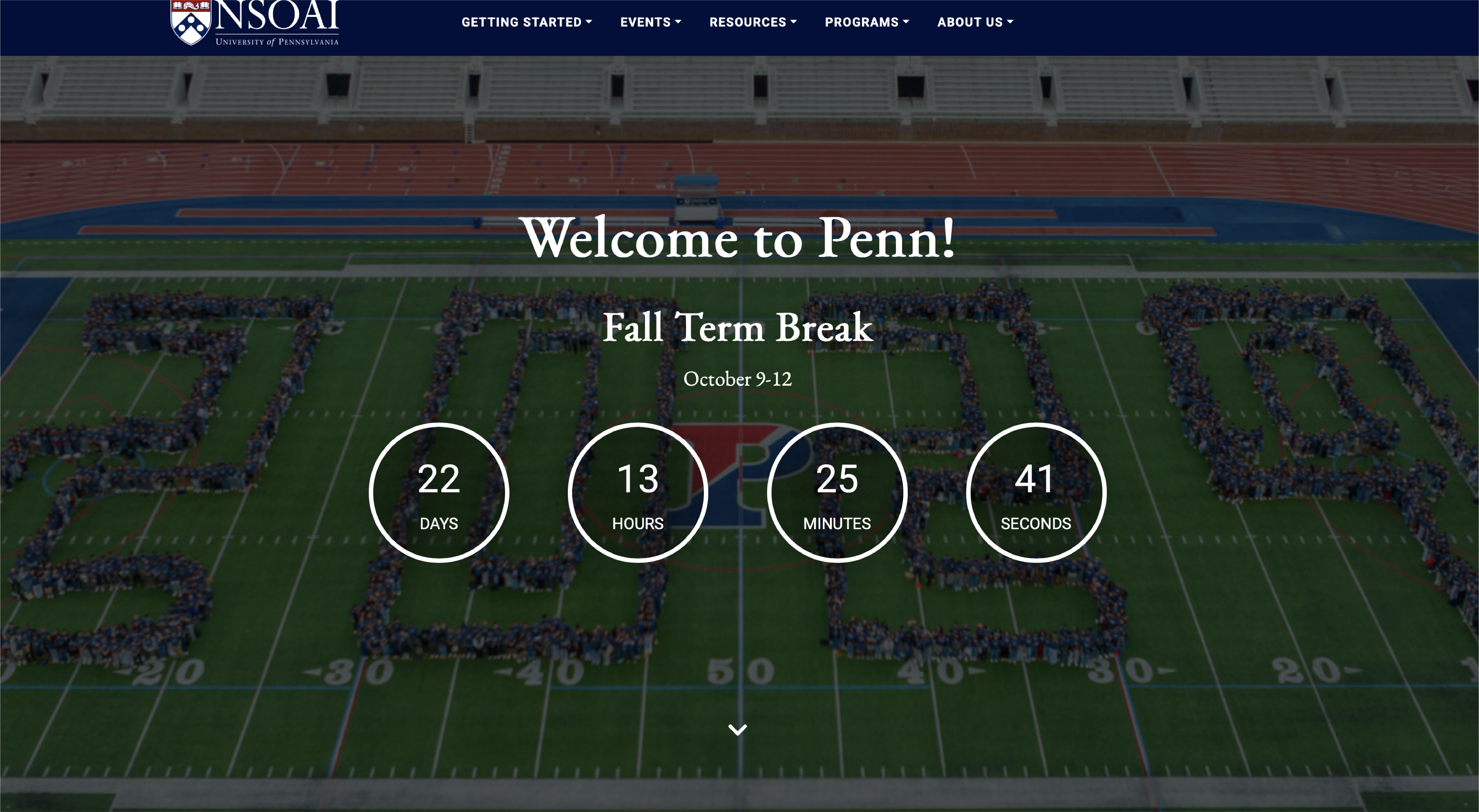 NSOAI website Screenshot